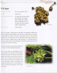 Y as in you (y.uw) ; Pdf Men S Health Ubi Jaga Smilax Myosotiflora