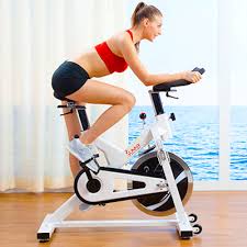 sf b1110s indoor cycling bike review