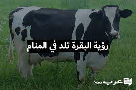 We did not find results for: Ø±Ø¤ÙŠØ© Ø§Ù„Ø¨Ù‚Ø±Ø© ØªÙ„Ø¯ ÙÙŠ Ø§Ù„Ù…Ù†Ø§Ù…