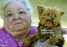 33 Encino Dog Park Stock Photos, High-Res Pictures, and Images