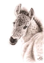 Wildpferd Fohlen Fine Art Print A3 Pferde Zeichnung 432562 By Arts And Dogs Pferd Zeichnung Pferde Zeichnen Wildpferde