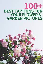 Check the white balance of your shots in camera. 100 Perfect Flower And Garden Captions To Make You Smile
