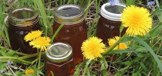 Edible flowers for cake decorating. Wild Edible Plants Okanagan Valley Backcountry Canada Travel