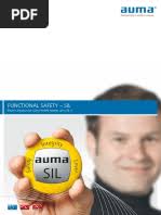 Functional Safety Certificate: Certificate's Holder: Product: Model(s) :  Standard