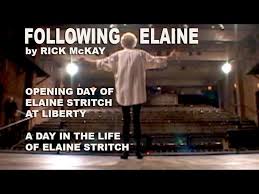 Rick McKay's FOLLOWING ELAINE