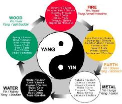 Zheng Qi Dispelling Xie Qi Chinese Medicine Traditional Chinese Medicine Acupuncture Tcm Traditional Chinese Medicine