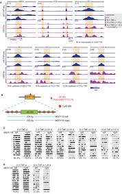 Each game uses different controls, most dos games use the keyboard arrows. Sustained Tnf A Stimulation Leads To Transcriptional Memory That Greatly Enhances Signal Sensitivity And Robustness Elife