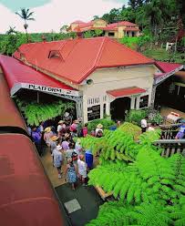 Kuranda Mossman Gorge National Park Kuranda Station Australia Travel Queensland Beautiful Places To Visit