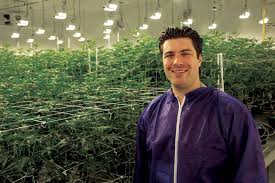 2307 s las vegas blvd. Armen Yemenidjian Ceo Essence Cannabis Dispensary Desert Grown Farms Las Vegas Weekly