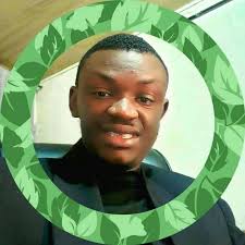 Profile for Stephenwonder S. Obagudu