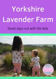 Yorkshire Lavender Farm Days Out With Kids Ever After With Kids Days Out With Kids Farm Day Days Out