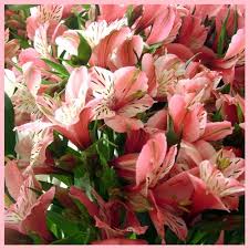 No wedding is complete without a dash of red in it. Top Ten Flowers Used In Wedding Decoration