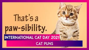 International hug your cat day. Owrdwzj1x4ocrm
