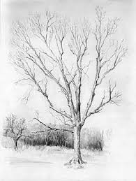 How To Draw Trees A Very Good Step By Step Tutorial Landscapedrawing Baume Zeichnen Zeichnen Anleitung Realistische Zeichnungen