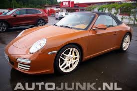 Image result for Sepia Brown 2025 Porsche
