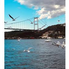 Hepimiz Boyleyiz Iste Birbirimizi Ancak Hayatin Sonunda Agir Sekilde Hastalanir Ya Da Olurse O Zaman Hatirlariz Neyi Yitirmis Istanbul Resimler Manzara