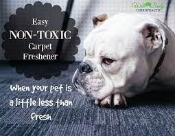 Enjoy 5% savings on all future orders; Smelly Dog Smelly Carpet No Problem Well Body Chiropractic Dog Incontinence Smelly Dog Dog Health Tips