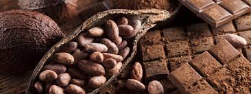 Eau chaude verser le cacao, remuer et combiner avec le kéfir, bien mélanger. Le Blond Cacao S Impose Comme La Nouvelle Coloration Capillaire