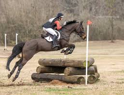 Cora Williamson Photography & Media (@cora.williamson_photography) •  Instagram photos and videos