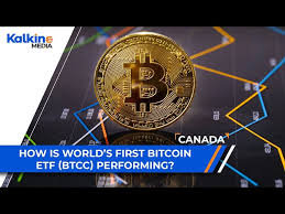 Free ratings, analyses, holdings, benchmarks, quotes, and news. Video How Is World S First Bitcoin Etf Btcc Performing Ca Market Update
