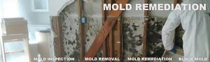 Maybe you would like to learn more about one of these? San Marcos Mold Remediation Service