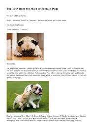 The last one is the military leader that lived over 2000 years ago. Top 10 Names For Male Or Female Dogs