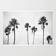 Black And White Palm Tree Pictures Black Palms Landscape Photograph Print Light Gray Wall Hanging Palm Trees Beach Surf Coastal Art Photog Scenic Wall Art Photographic Art Prints Beach Mural