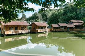 Browse expedia's selection of 4403 hotels and places to stay in hulu langat. Ajlaa Village Resort Camp