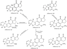 Door & window hardware co. Sensors Free Full Text Achievements And Prospects In Electrochemical Based Biosensing Platforms For Aflatoxin M1 Detection In Milk And Dairy Products Html