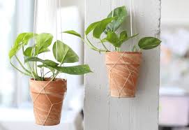 Top Umzugstipps Sparen Stressfrei Umziehen Blumentopfe Selber Machen Blumentopfe Zum Aufhangen Selber Machen