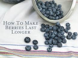 Likewise, strawberries aren't the least expensive natural product, so it's actually a disgrace to burn through cash on something that you can't appreciate. How To Keep Berries Fresh For Longer Tutorial Save Time And Money Against All Grain Delectable Paleo Recipes To Eat Feel Great