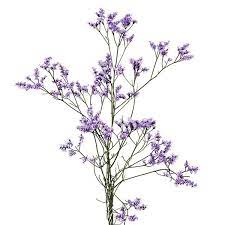 Purple Caspia Bud Vases House Plants Decor Lavender Wedding Plant Decor