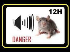 Whether you're hoping to get an inspection, need pests control, or want to prevent them from taking over your home, 24h pest pros are available to help! 11 Pest Control Tips Ideas Pest Control Pests Natural Pest Control