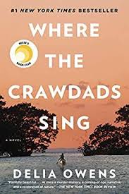 Ebook Pdf Download Product Description 1 New York Times Bestselling Phenomenon More Than 7 Million Copies S In 2020 Fiction Books To Read Sunshine Books Fiction Books