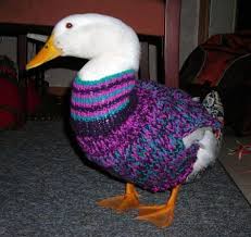 Liveducks Com Duck Care And Feeding Pet Ducks Duck Toy Duck Diapers