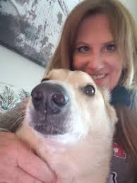 Introduction and photo of dachshund