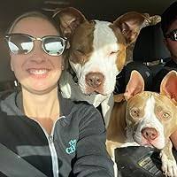 Palm Beach: A Novel by Cornelius Vanderbilt Jr.