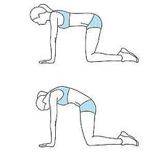 Tuck your head and tailbone in, arching through your spine as to mimic a camel. Pin On Exercise