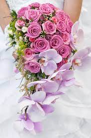 Get a sample kit with your favorite designs, color swatches, paper types, and more at no cost to you. Florist Quote Template Quote Examples Quotient