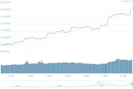 john mcafees crystal ball promised this bitcoin price surge