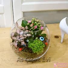 Teraryum Yapimi Icin En Guzel 30 Ornek Dekorasyon Terrarium Dr Nathaniel Ward Tarafindan 1830 Lu Yillarda Kesfedilen Mini Bir Ek Teraryum Terrarium Saksi