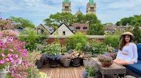July Rooftop Flower Garden Tour 🌸🪴City Container Garden In Full Bloom!