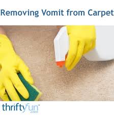 cleaning vomit odors from carpet