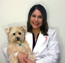 If you continue to use this website without changing your cookie settings or you click accept below then you are consenting to this. Mid Peninsula Animal Hospital Home Facebook