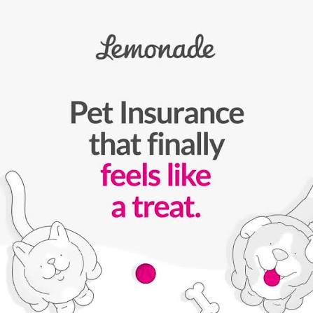 Lemonade Pet Insurance
