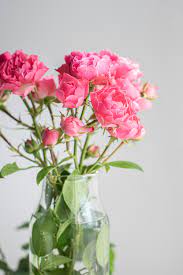 Buy aesthetic colorful vase of flowers paint by numbers kit or check our new collections canvas paint number for adult. Glass Flower Pictures Download Free Images On Unsplash