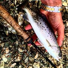 Beulah Blog - Page 2 of 7 - Beulah Fly Rods