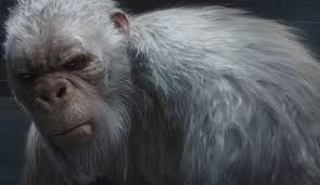 Use the download button to find out the full image of abominable. Abominable Snowman Goosebumps Wiki Fandom Powered By Wikia In 2021 Abominable Snowman Winter Animals Snowman