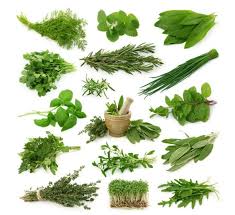 Ver más ideas sobre plantas, planta aromatica, hierbas. Las Propiedades Curativas Y Las Virtudes De Las Hierbas Aromaticas Que Usamos Diariamente En La Cocina Peakd