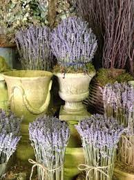 Hand Made Dried French Lavender Topiaries I Hand Crafter Stone Garden Urns Lavender Plant Lavender Farm Lovely Lavender